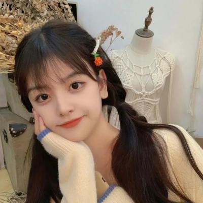 巧盗美人心
